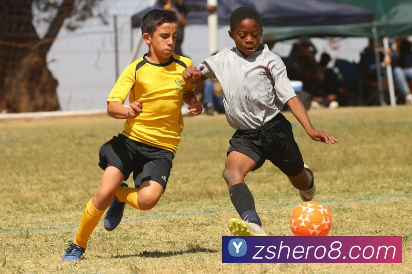 九游会官网平台生态图